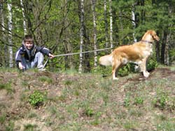 25-04-2009Mistrzostwa