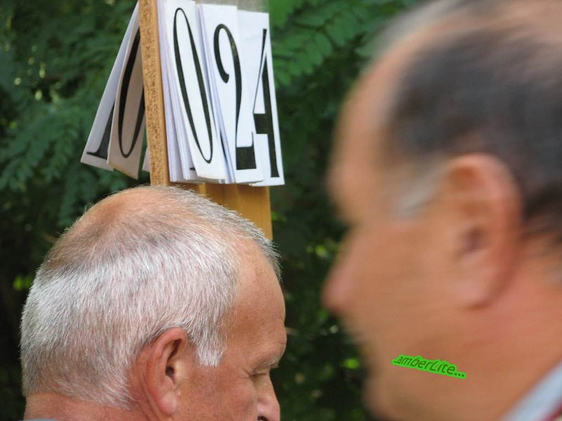 09foto.2009.09.06.1124.062