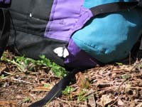 2011-04-10-OMWRJnO_1e1e